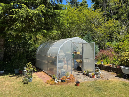 A small arched greenhouse with a translucent plastic cover and open door, situated on a grassy backyard lawn surrounded by trees, plants, and garden tools.
