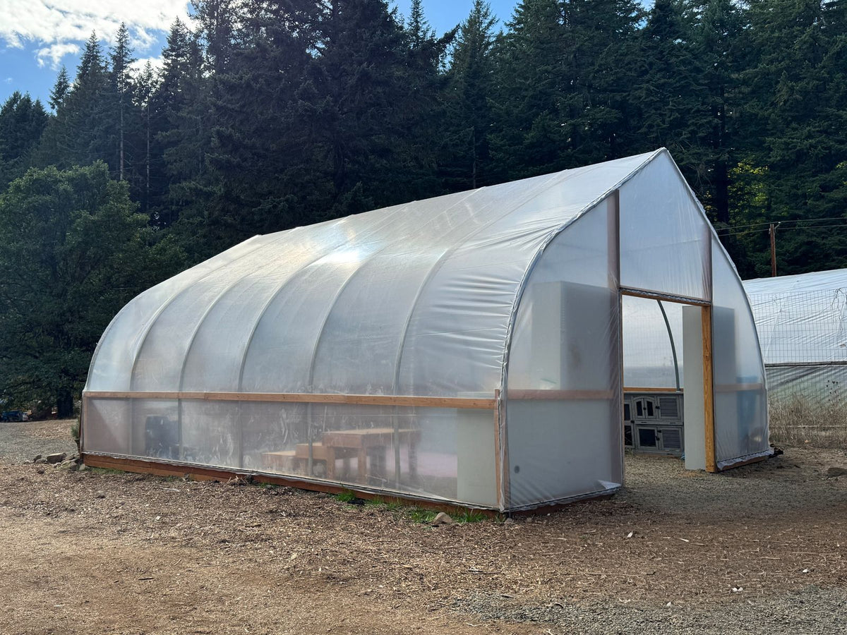 A large arched greenhouse with a translucent white plastic cover and light wood frame, set outdoors on a gravel ground with a forest background.