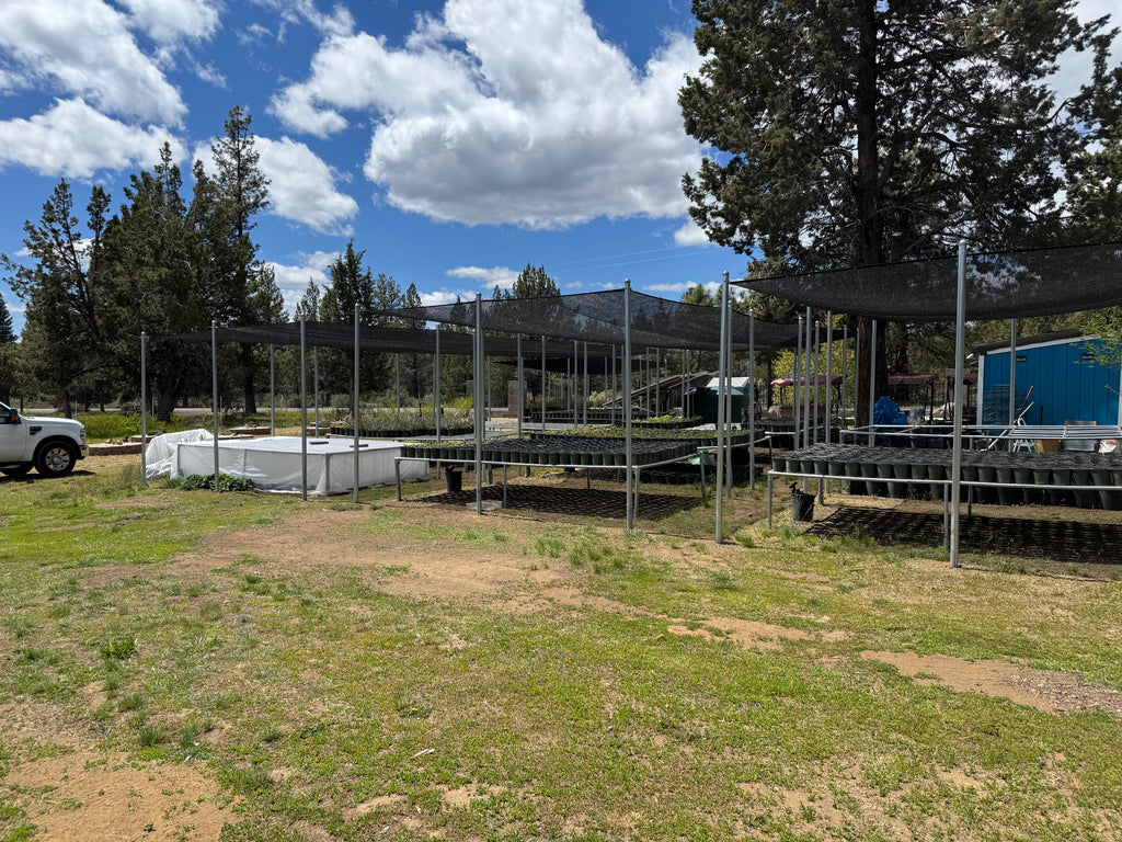 Shade Cloth