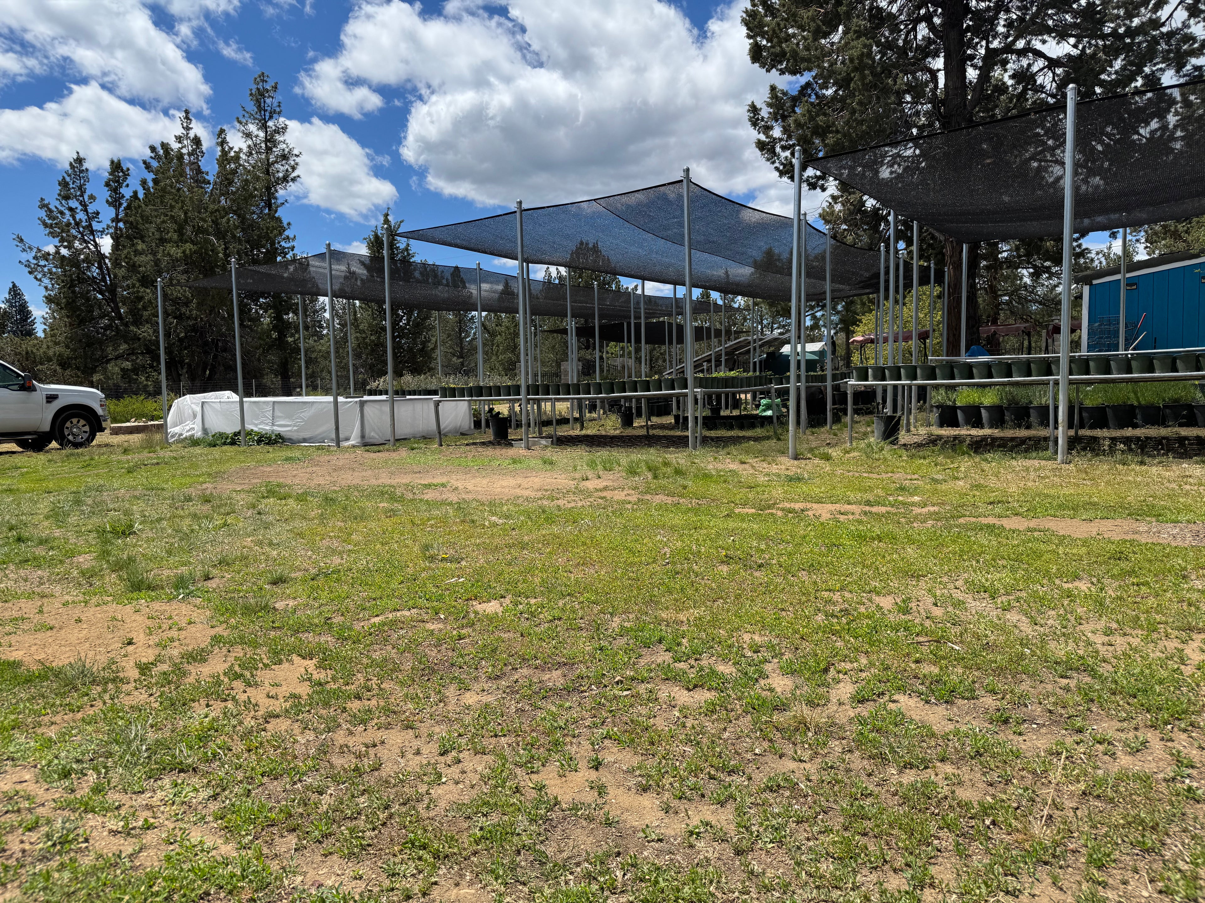 Shade Cloth