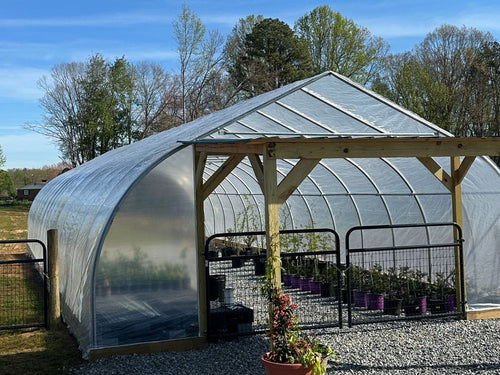 A large arched greenhouse with a translucent plastic cover and wooden frame, set outdoors on a gravel surface with potted plants inside and trees in the background under a blue sky.