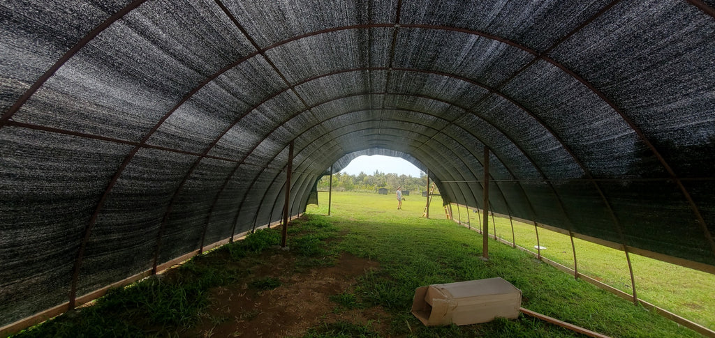 Shade Cloth