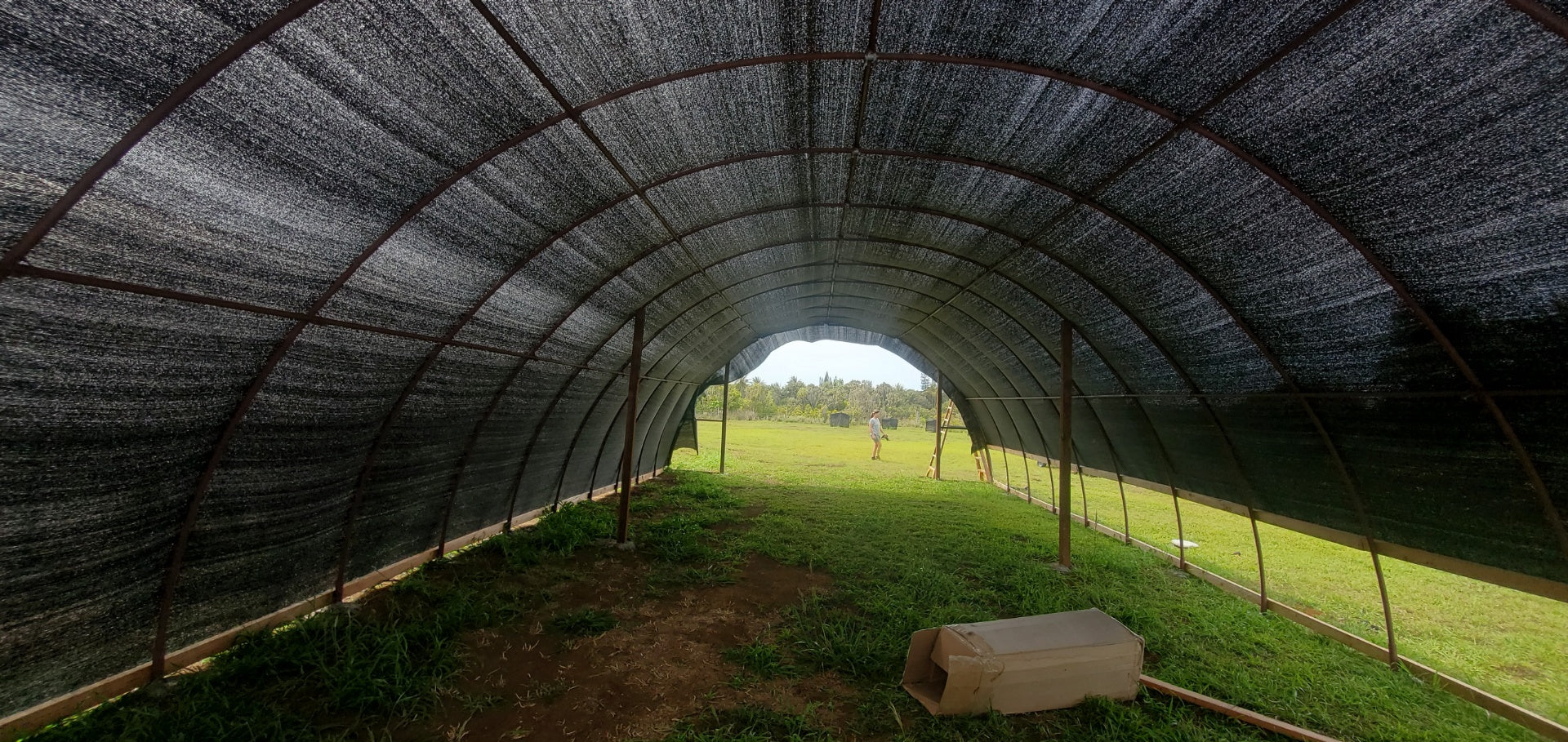 Shade Cloth