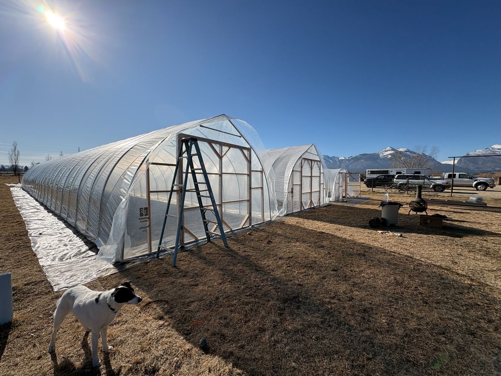 Caterpillar tunnels at a mountain farm