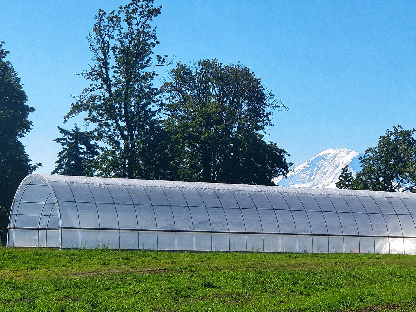 24 by 100 foot rounded Quonset greenhouse with a mountain view
