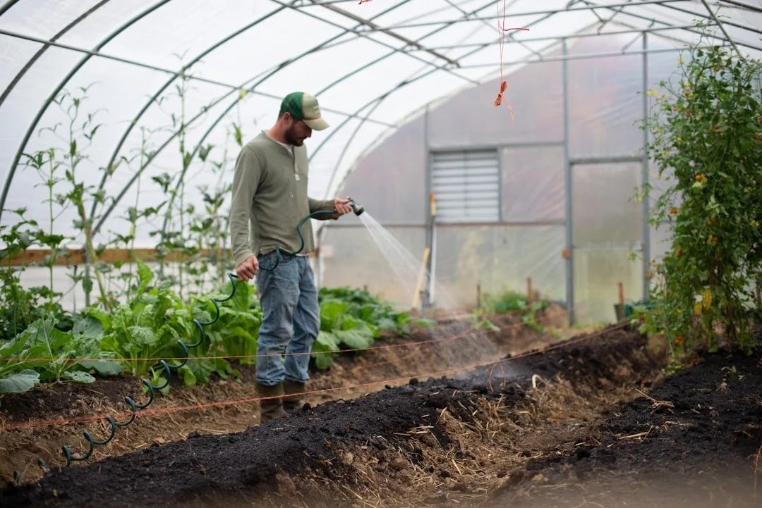 Healthy plants growing inside a Sunbow greenhouse